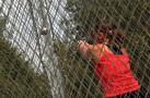 Atletica