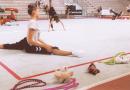 Ginnastica