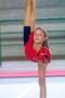 Ginnastica