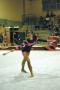 Ginnastica