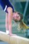 Ginnastica