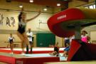 Ginnastica