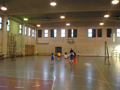 palestra menozzi