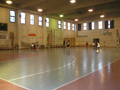 palestra menozzi