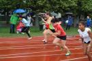 DSCF1231_131107052000