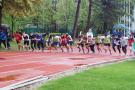 DSCF1246_131107052000