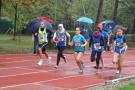 DSCF1254_131107052001