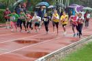 DSCF1270_131107052001