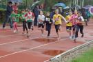 DSCF1271_131107052001