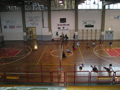 palestra rinaldini